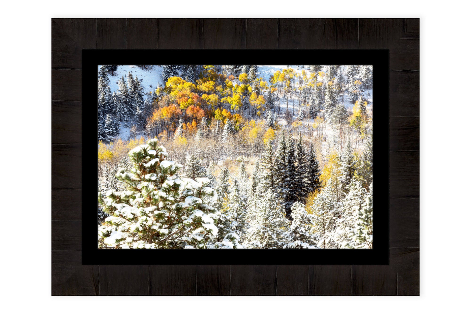 A framed Rocky Mountain National Park fall picture.hangs in a living room.