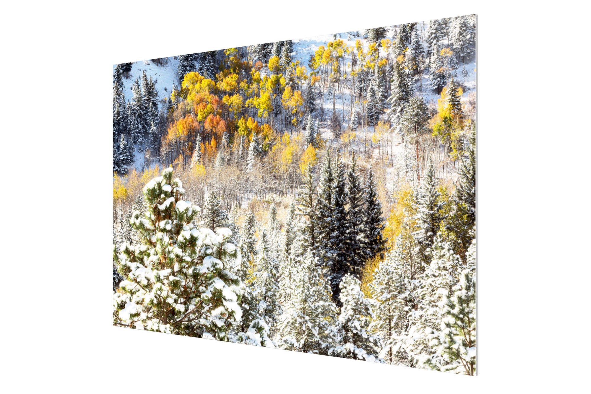 A TruLife acrylic Rocky Mountain National Park fall picture.hangs in a living room.