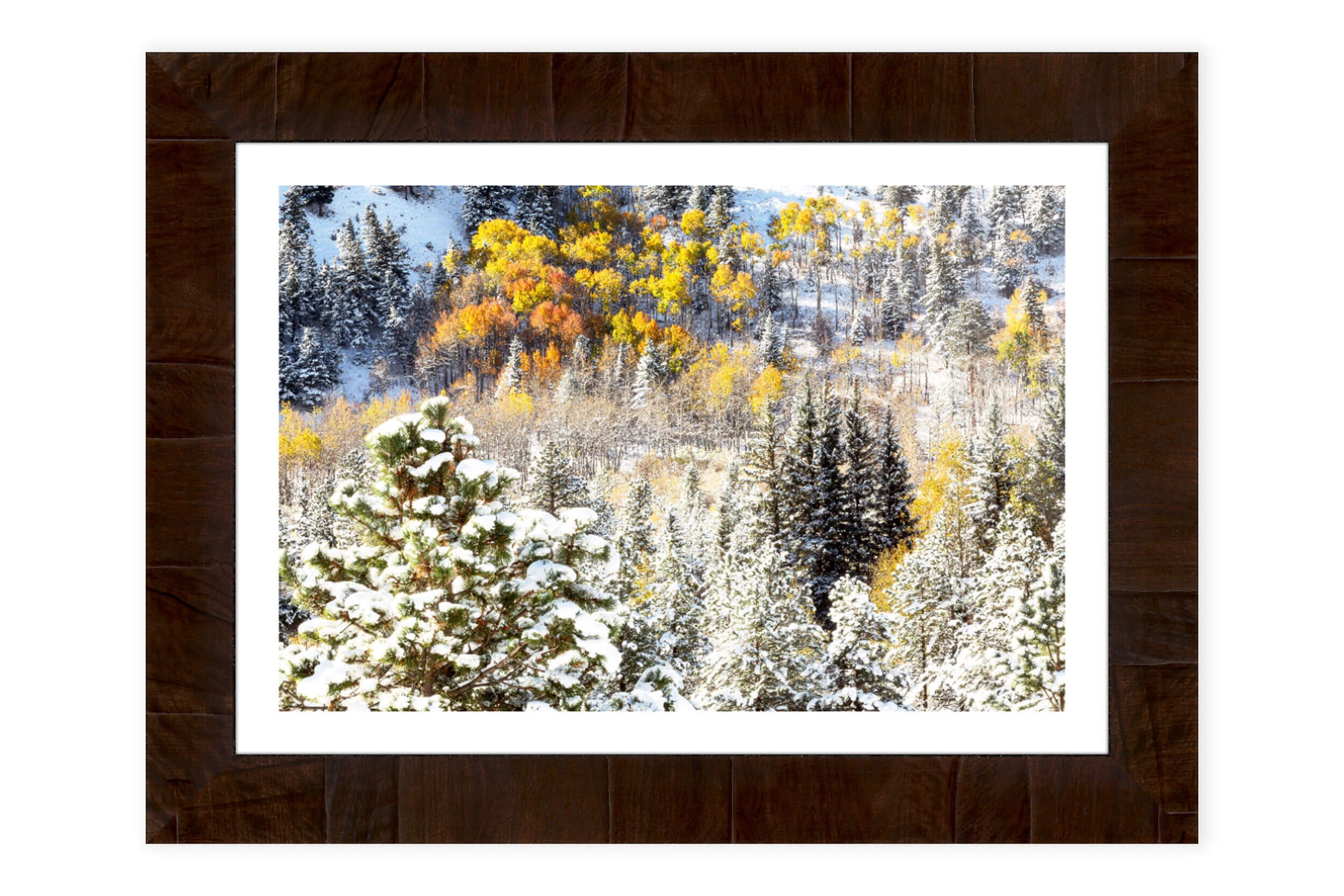 A framed Rocky Mountain National Park fall picture.hangs in a living room.