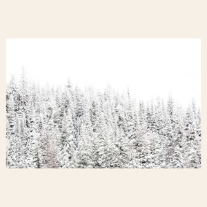 A piece of Steamboat Springs art shows snowy trees outside the Colorado ski resort.