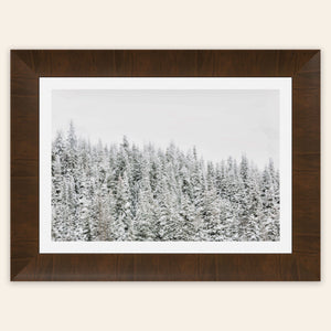 A piece of framed Steamboat Springs art shows snowy trees outside the Colorado ski resort.