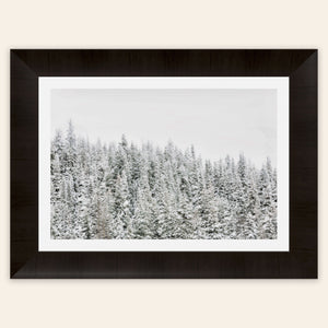 A piece of framed Steamboat Springs art shows snowy trees outside the Colorado ski resort.