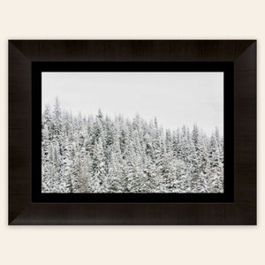 A piece of framed Steamboat Springs art shows snowy trees outside the Colorado ski resort.