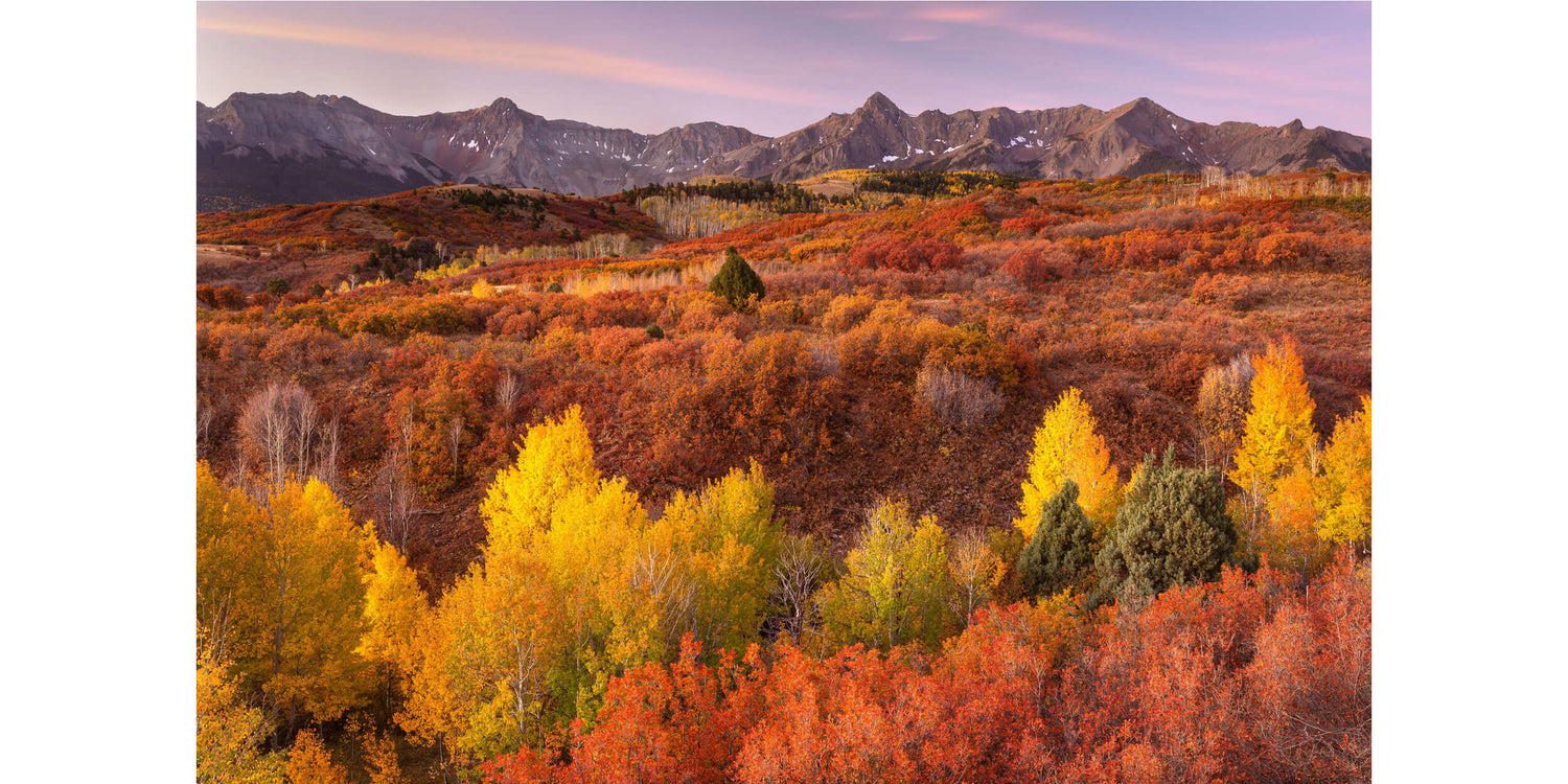 A Dallas Divide picture captured near Telluride during fall.