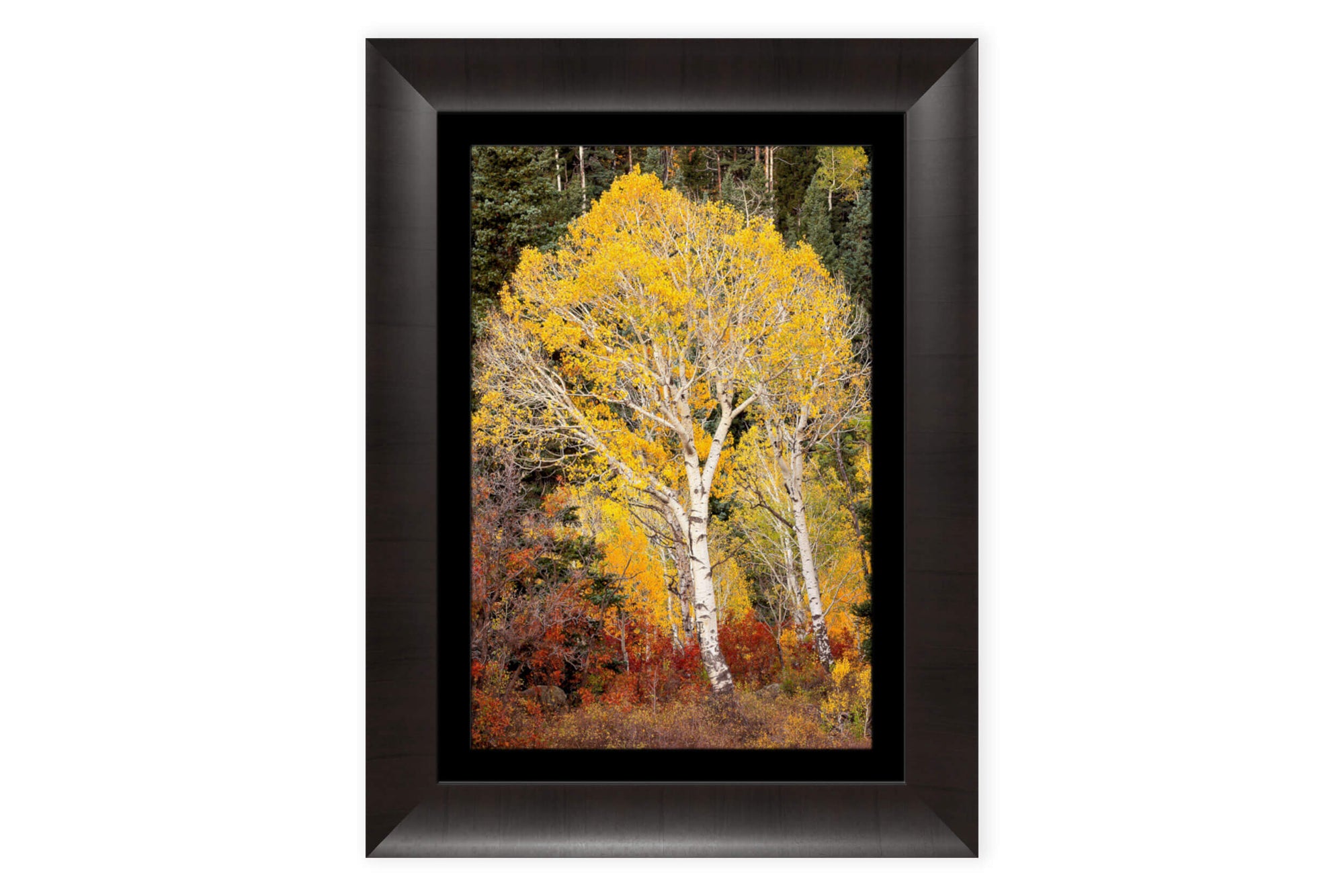 A framed Telluride fall colors picture.