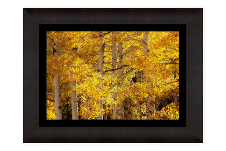 A framed Colorado fall colors picture from a hike near Telluride.