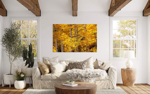 A Colorado fall colors picture from a hike near Telluride hangs in a living room.