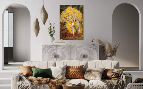 A Telluride fall colors picture hangs in a living room.