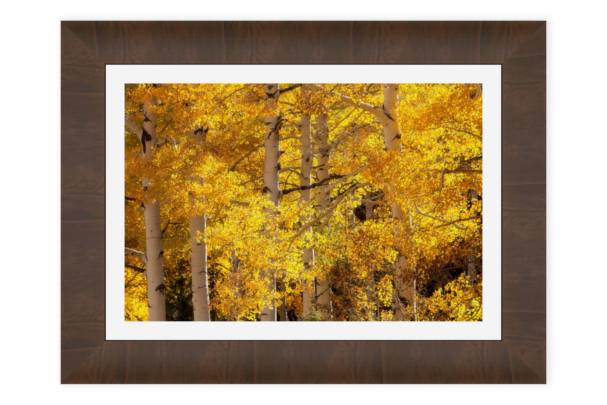 A framed Colorado fall colors picture from a hike near Telluride.