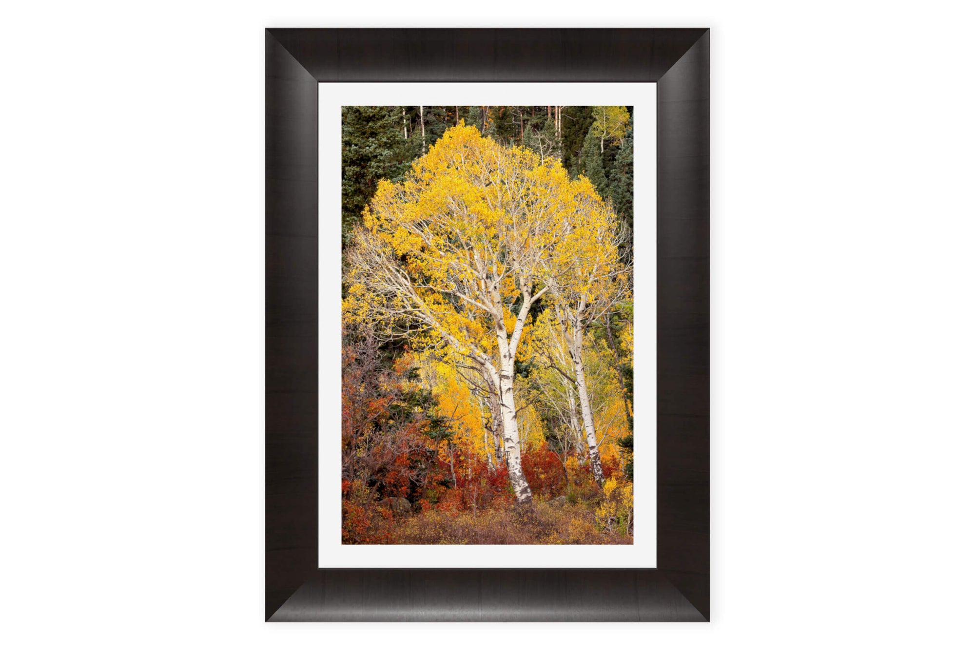 A framed Telluride fall colors picture.