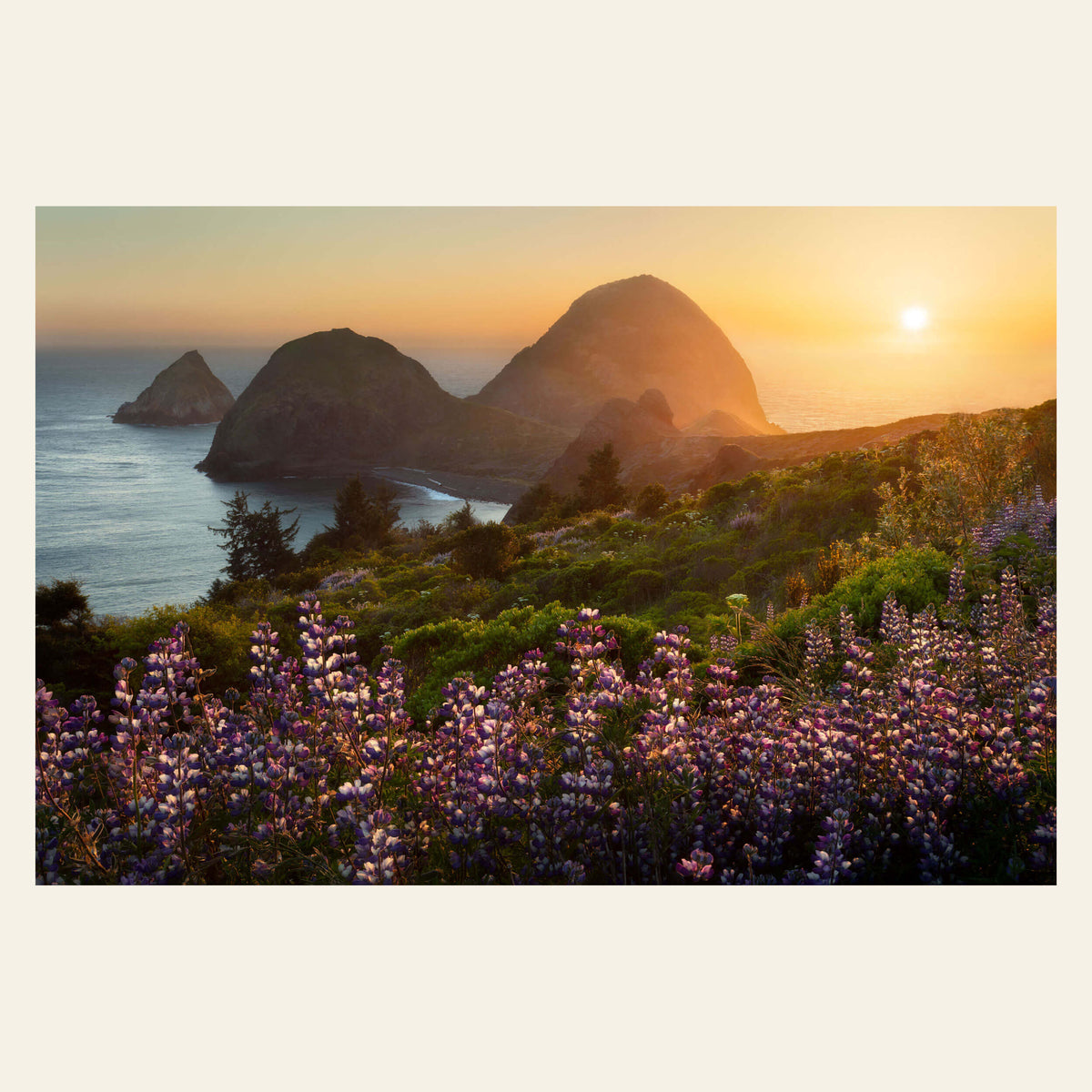 A wildflower picture of the Twin Sisters along the Oregon Coast at sunset.