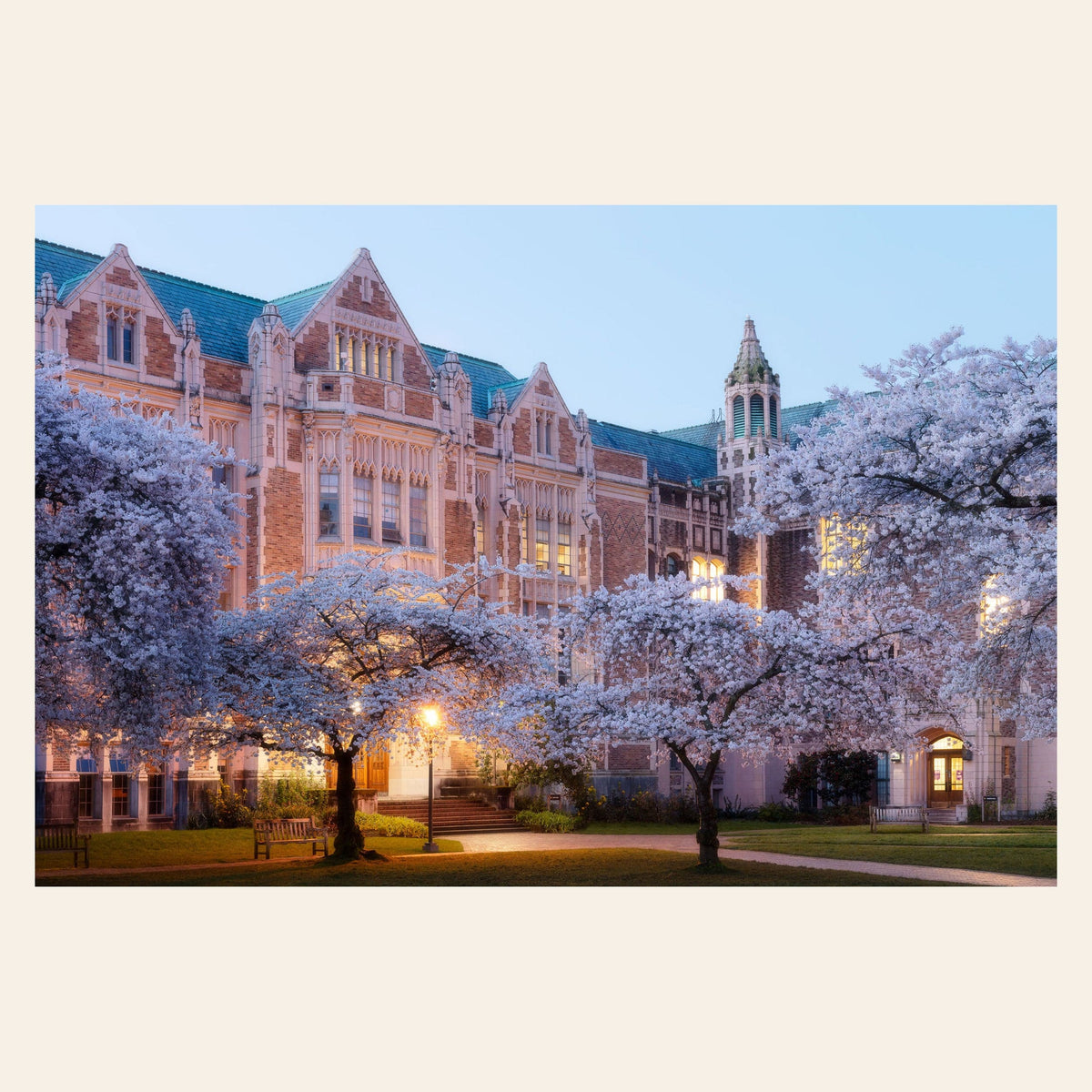 A piece of Seattle art shows the cherry blossoms on the UW campus.