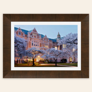 A piece of framed Seattle art shows the cherry blossoms on the UW campus.