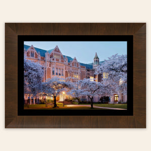 A piece of framed Seattle art shows the cherry blossoms on the UW campus.