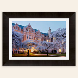 A piece of framed Seattle art shows the cherry blossoms on the UW campus.