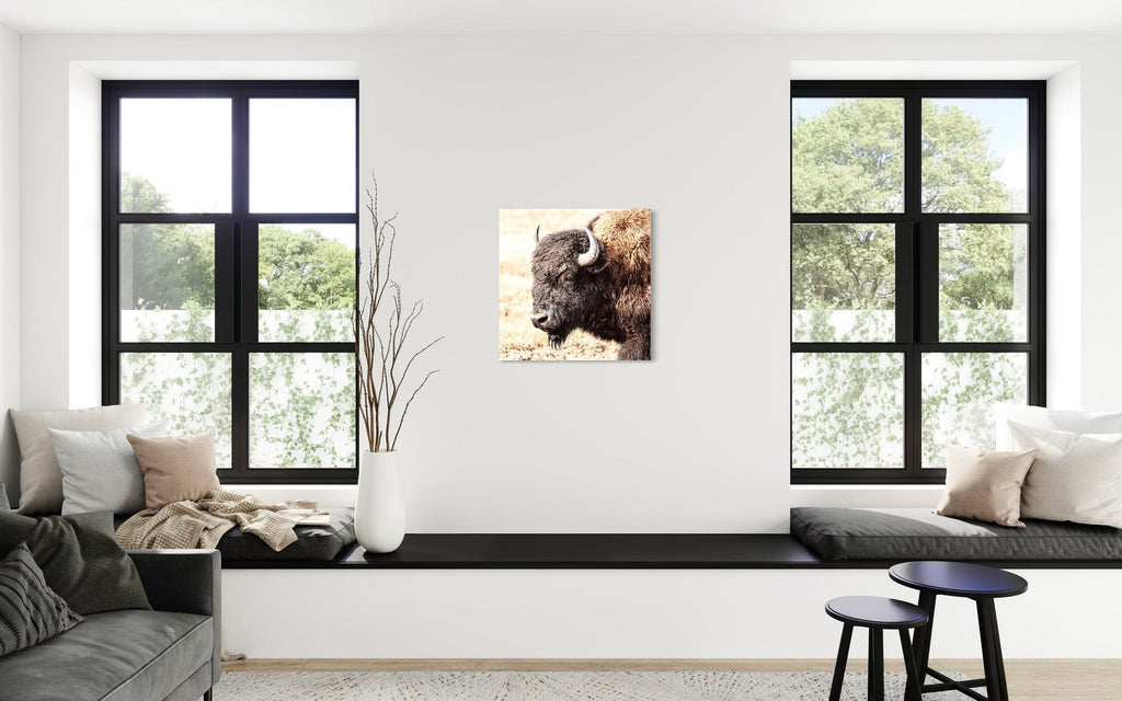 A piece of Yellowstone art showing a photo of a bison hangs above a bench.