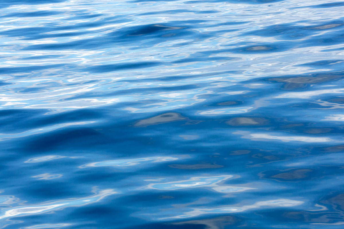 An abstract water picture taken on an Anacortes whale watching tour.