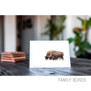 A nature art greeting card shows a family of bison near Denver.