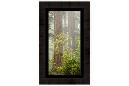 A framed California redwoods picture of the blooming rhododendron.