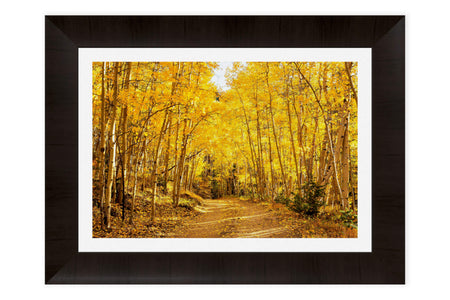 This piece of framed Colorado art shows Kenosha Pass during peak fall colors.