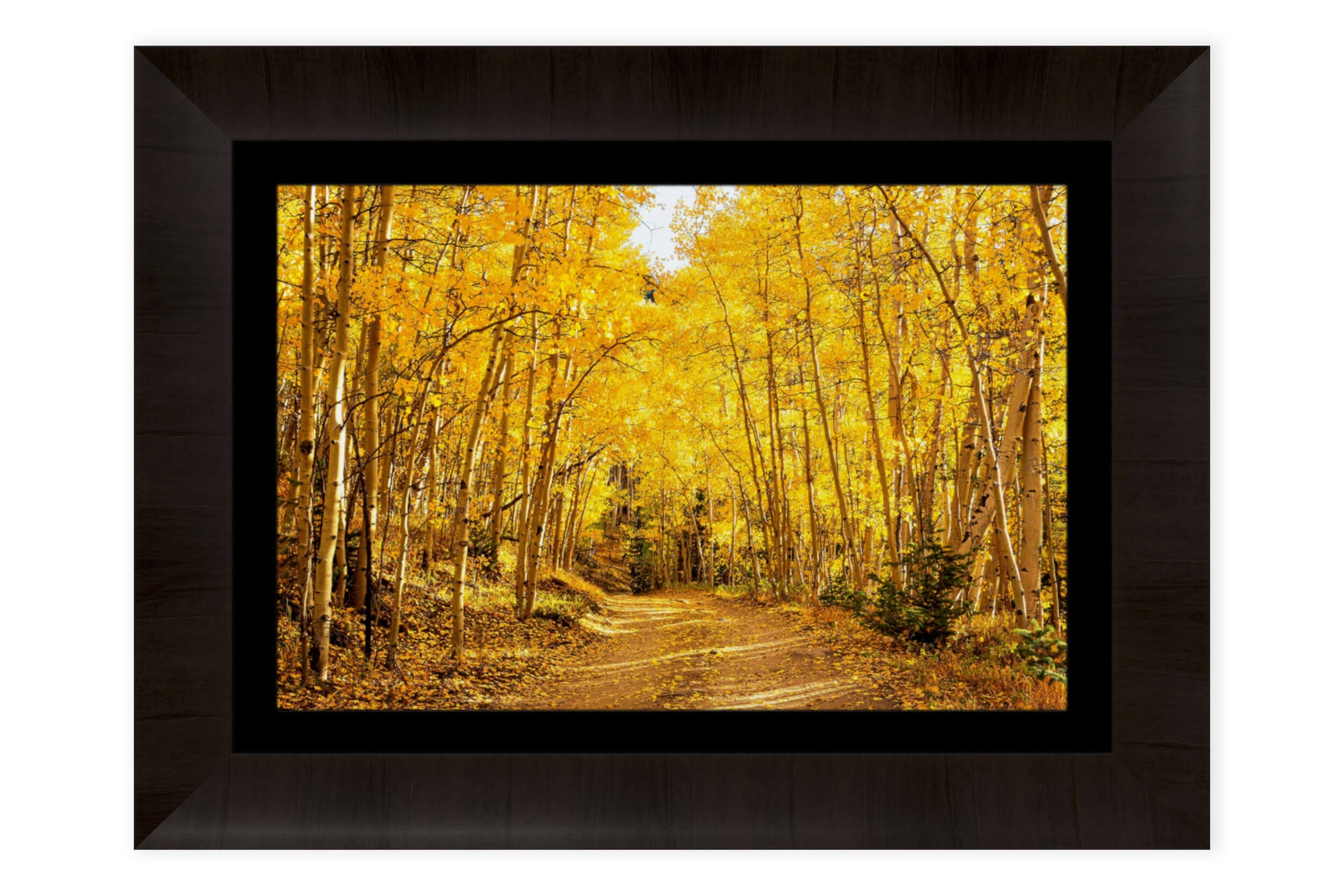 This piece of framed Colorado art shows Kenosha Pass during peak fall colors.
