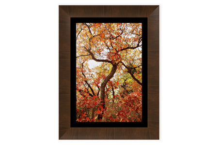 This piece of framed Colorado art shows the beautiful Ouray fall colors.