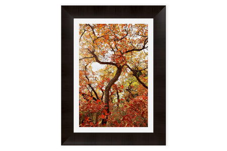 This piece of framed Colorado art shows the beautiful Ouray fall colors.