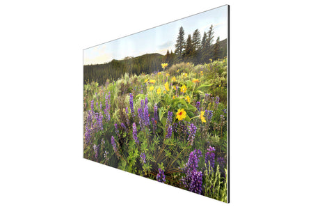 A piece of TruLife acrylic Colorado art shows wildflowers near Green Mountain Reservoir.
