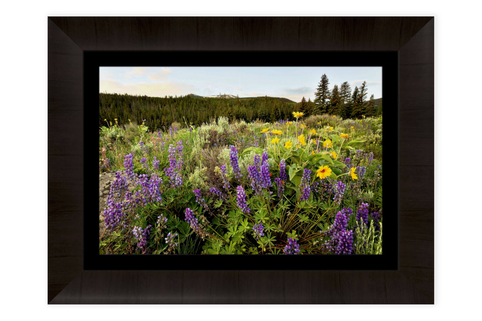 A piece of framed Colorado art shows wildflowers near Green Mountain Reservoir.