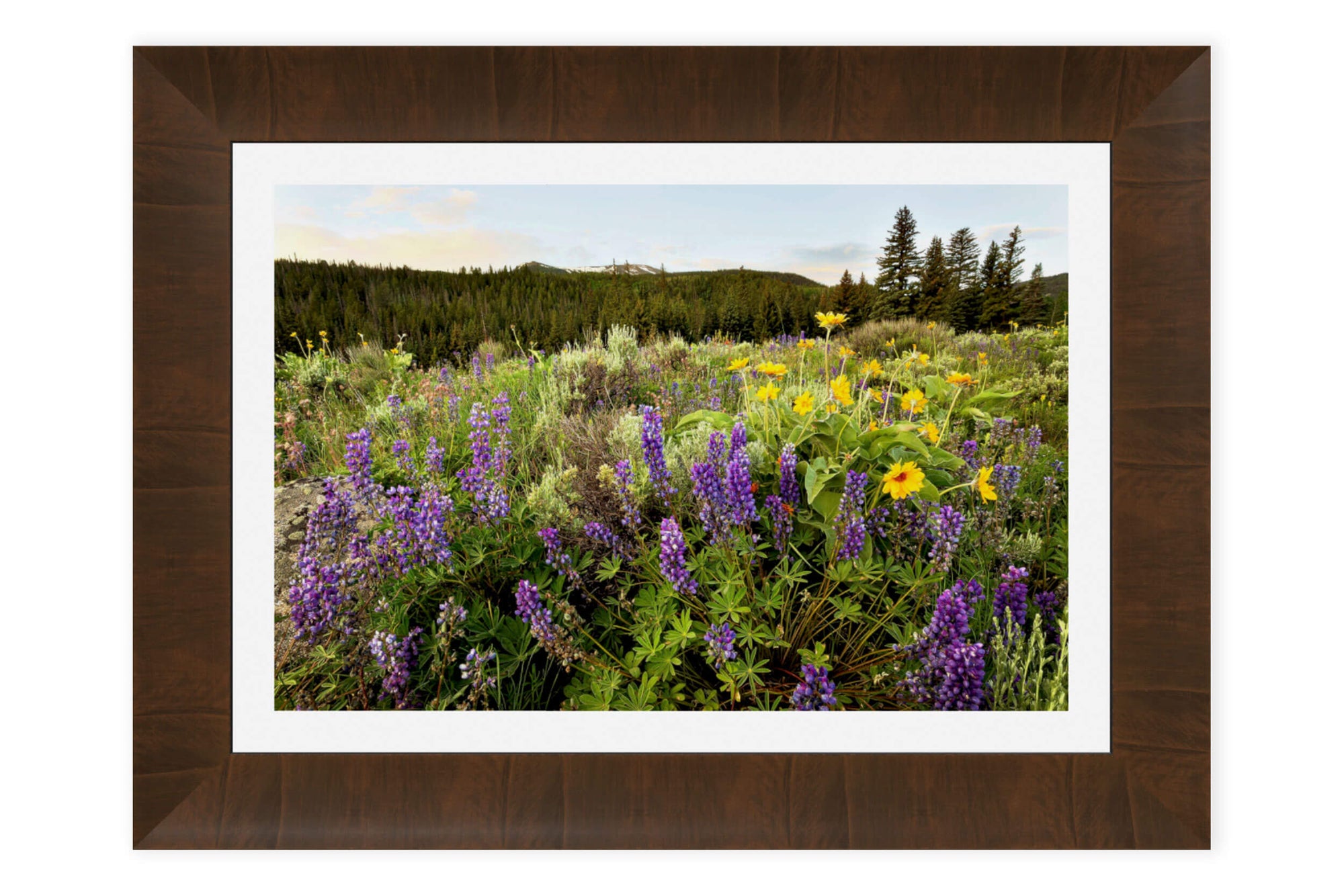 A piece of framed Colorado art shows wildflowers near Green Mountain Reservoir.