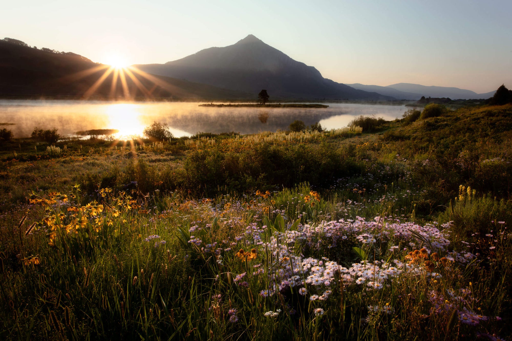 This piece of Crested Butte Art shows Colorado wildflowers at Peanut Lake.