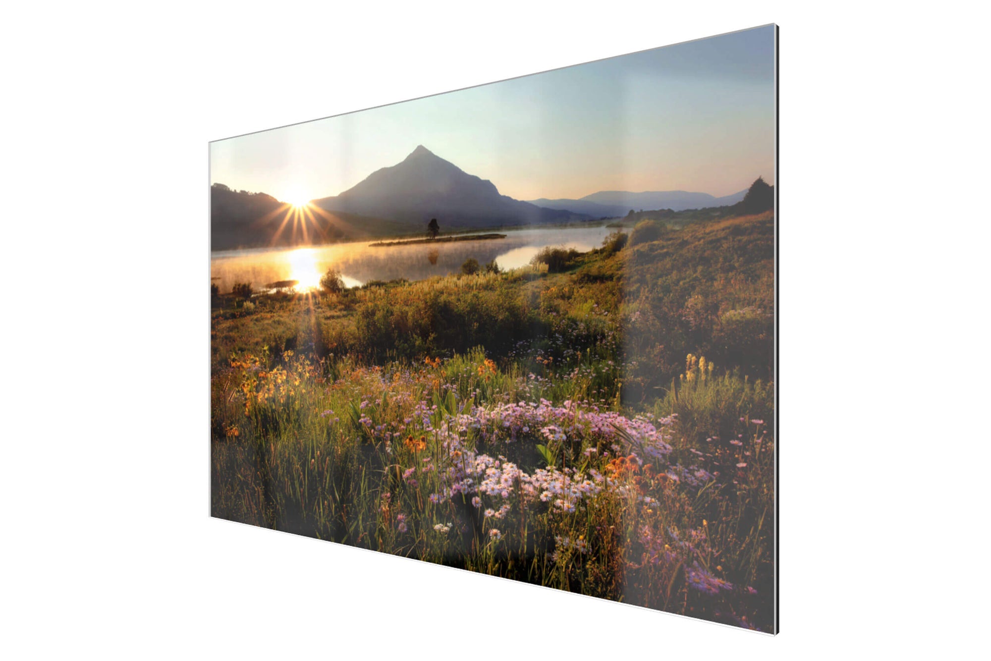 This piece of TruLife acrylic Crested Butte Art shows Colorado wildflowers at Peanut Lake.