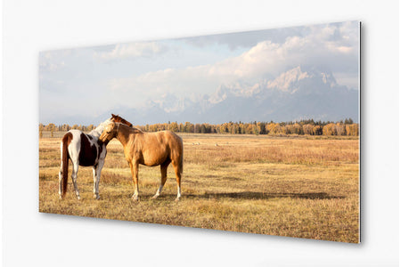 This piece of TruLife acrylic Jackson Hole art shows horses in Grand Teton National Park.