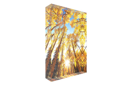 A picture of Kebler Pass during fall near Crested Butte shown as an acrylic block.