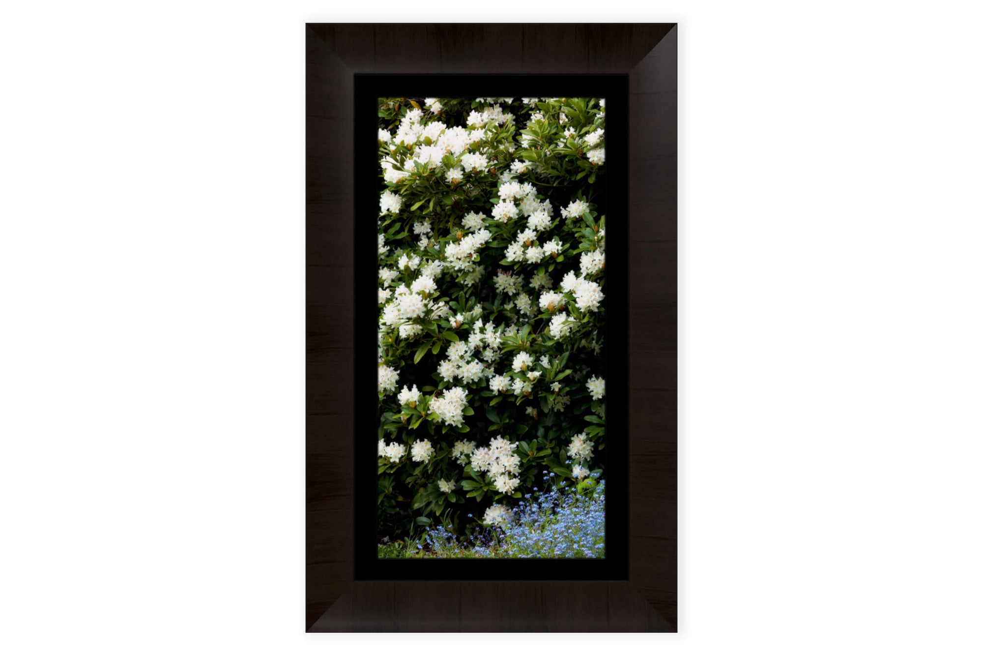 This piece of framed Seattle art shows a Kubota Garden picture.