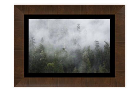A piece of framed Washington art shows a Lake Quinault picture.