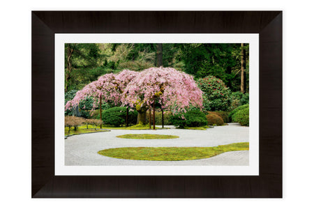 A piece of framed cherry blossoms art from Portland Japanese Garden.