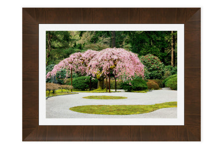 A piece of framed cherry blossoms art from Portland Japanese Garden.