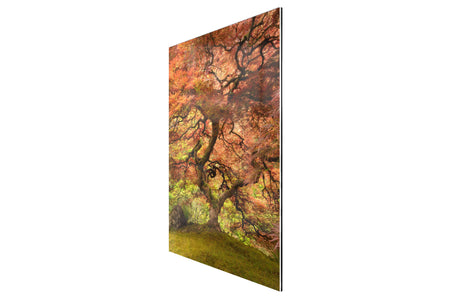 This piece of TruLife acrylic Japanese Garden art shows a maple tree.