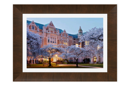 A framed piece of Seattle art shows the UW cherry blossoms.