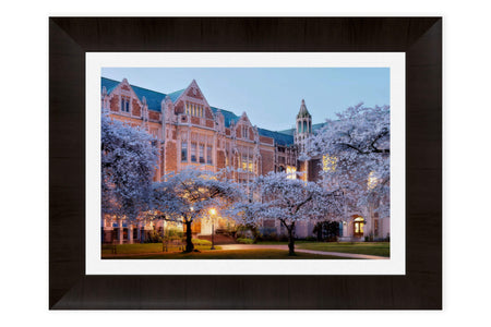 A framed piece of Seattle art shows the UW cherry blossoms.
