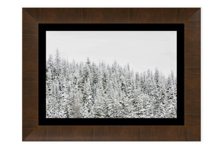 This piece of framed Steamboat Springs art shows trees in the snow outside the Colorado ski resort.