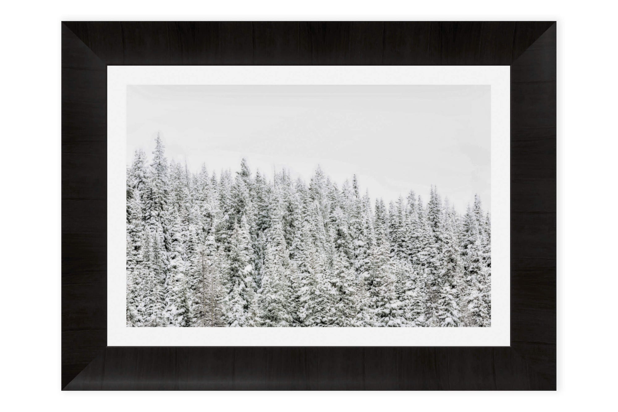 This piece of framed Steamboat Springs art shows trees in the snow outside the Colorado ski resort.