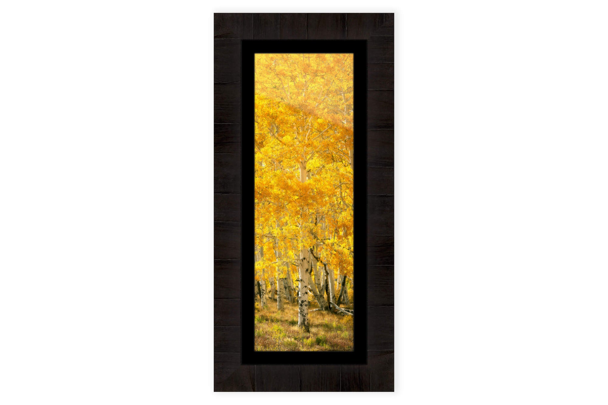 This piece of framed Telluride art shows an aspen tree during fall in Telluride.