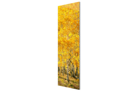 This piece of TruLife acrylic Telluride art shows an aspen tree during fall in Telluride.