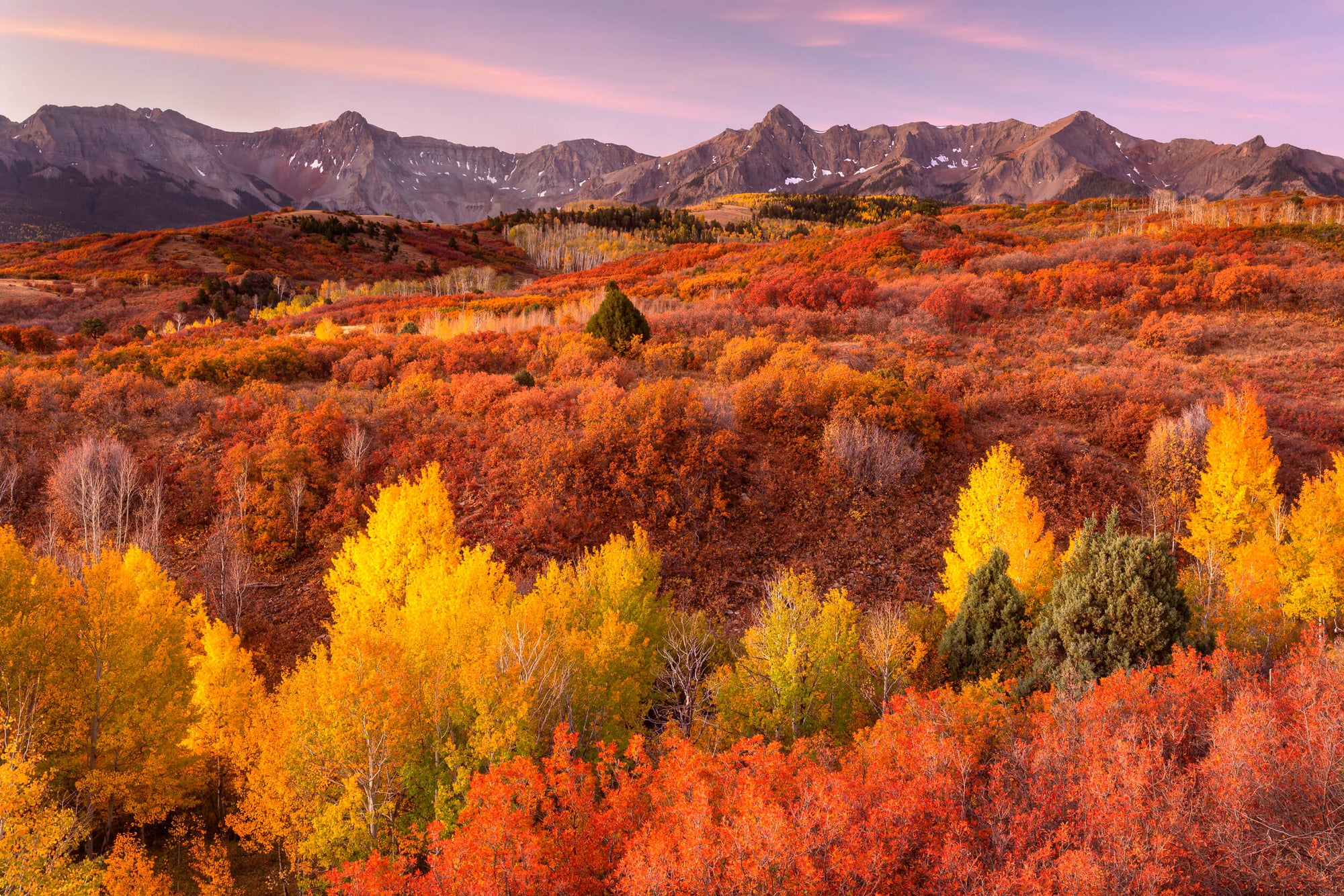 A Dallas Divide picture captured near Telluride during fall.