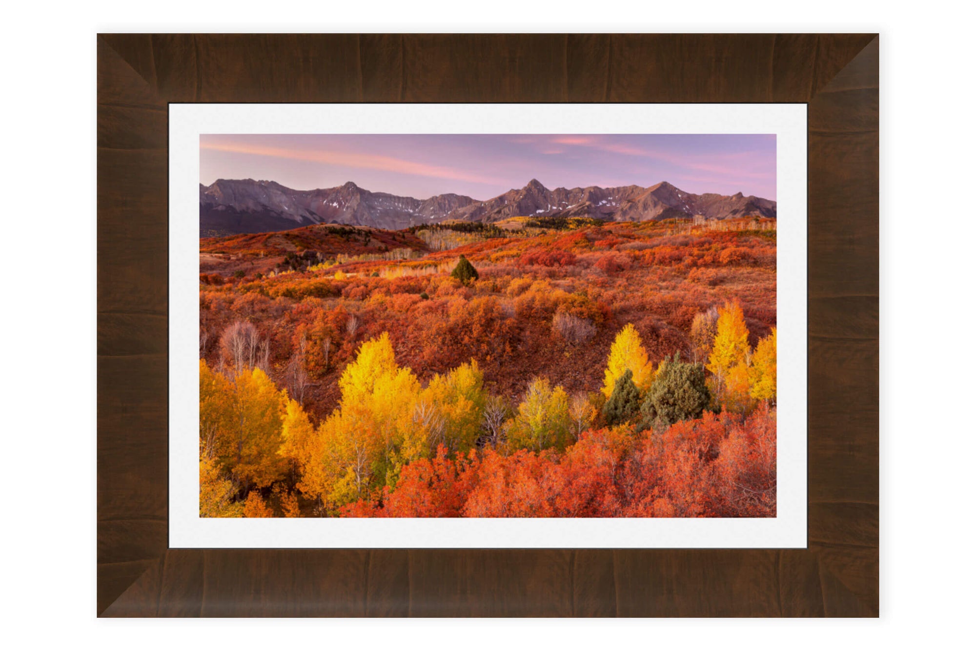 A piece of framed Telluride art shows a Dallas Divide fall colors picture.