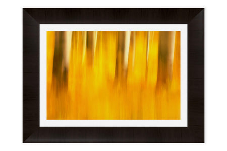 This piece of abstract framed Telluride art shows the fall colors on Last Dollar Road.