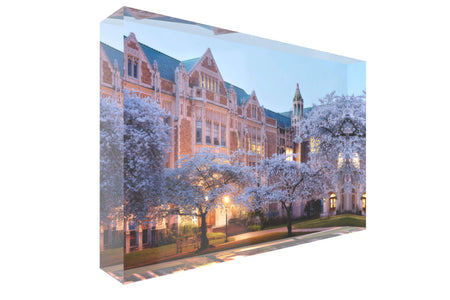 A picture of the UW cherry blossoms in Seattle shown as an acrylic block.