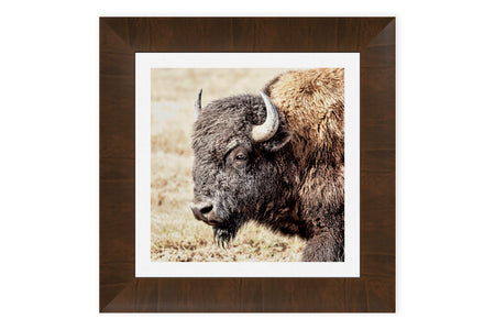 This is a piece of framed Yellowstone art showing a bison picture.